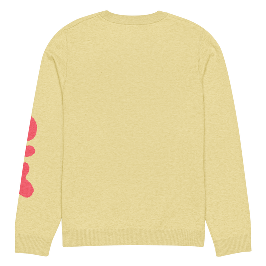 The "V-Tamin Y" Knit Sweater